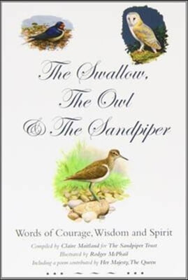 The Swallow, the Owl and the Sandpiper