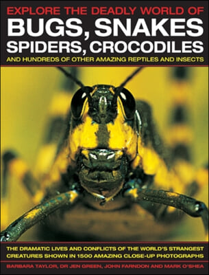 A Explore the Deadly World of Bugs, Snakes, Spiders, Crocodiles