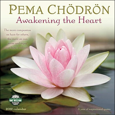 PEMA CHODRON SQUARE WALL CALENDAR 2022