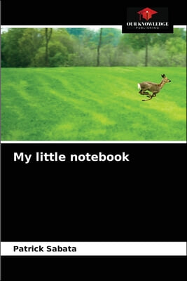 My little notebook