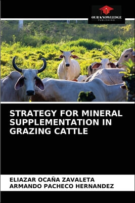 Strategy for Mineral Supplementation in Grazing Cattle