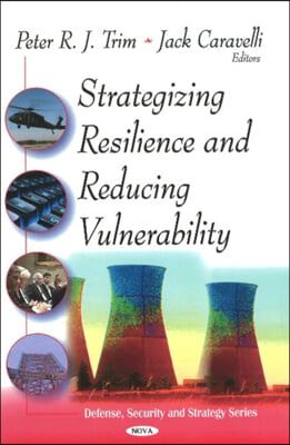 Strategizing Resilence &amp; Reducing Vulnerability