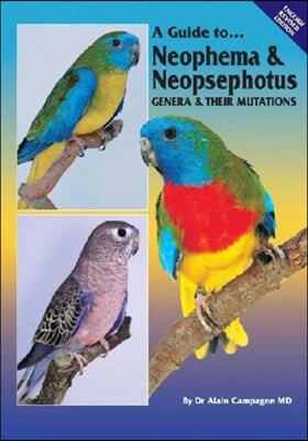 A Guide to Neophema &amp; Neopsephotus Genera &amp; Their Mutations