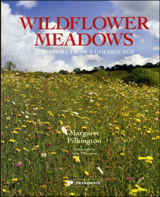 A Wildflower Meadows