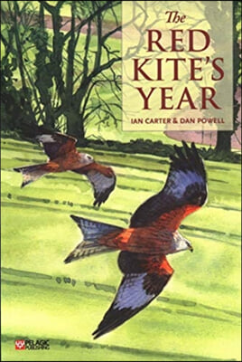 The Red Kite&#39;s Year