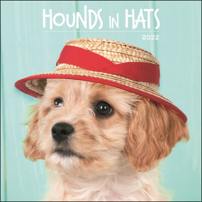 Hounds in Hats 2022 Calendar