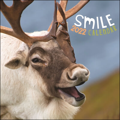 Smile 2022 Calendar