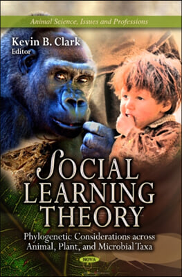 Social Learning Theory