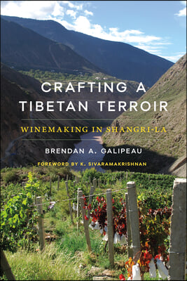 Crafting a Tibetan Terroir: Winemaking in Shangri-La