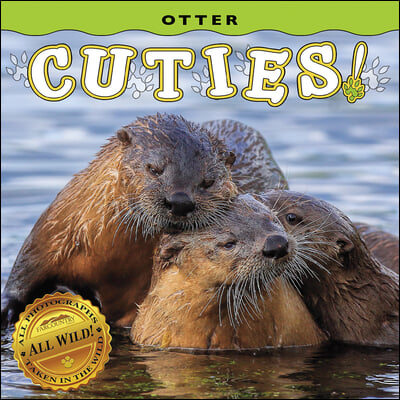 Otter Cuties!