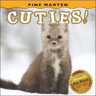 Pine Marten Cuties!