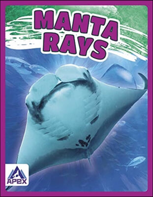 Giants of the Sea: Manta Rays