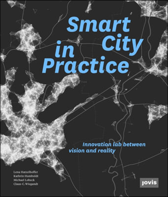 Smart City in Practice: Innovation Lab Between Vision and Reality