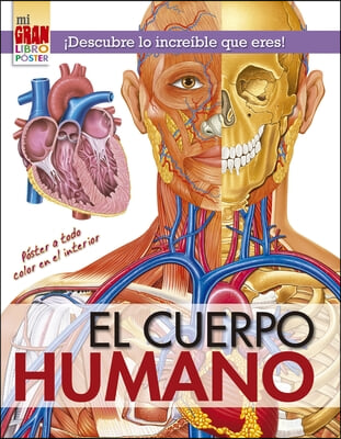 Mi Gran Libro Poster: Cuerpo Humano