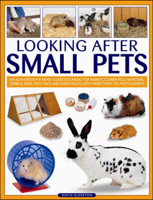 Looking After Small Pets