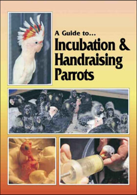 Incubation and Handraising Parrots