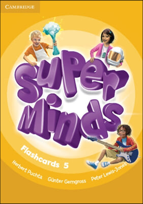 Super Minds Level 5 Flashcards