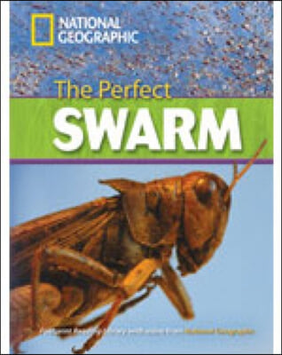 The Perfect Swarm