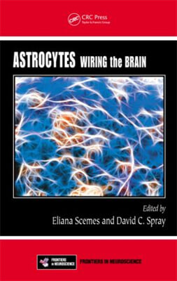 Astrocytes