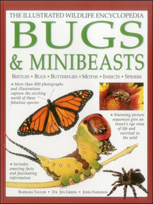 The Illustrated Wildlife Encyclopedia: Bugs &amp; Minibeasts: Beetles, Bugs, Butterflies, Moths, Insects, Spiders