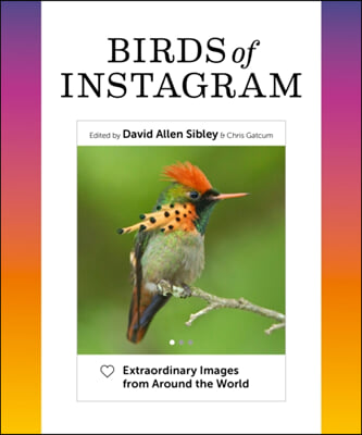 Birds of Instagram: Extraordinary Images from Around the World