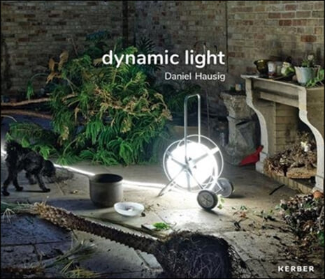 Daniel Hausig: Dynamic Light