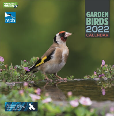 RSPB Garden Birds Square Wall Calendar 2022