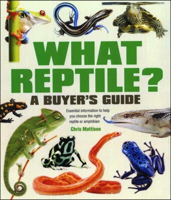 What Reptile? A Buyer&#39;s Guide