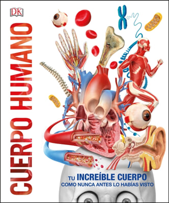 Cuerpo Humano / Human Body