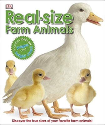 Real-Size Farm Animals