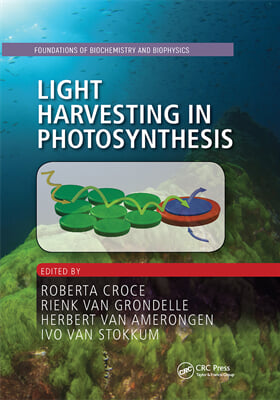 Light Harvesting in Photosynthesis