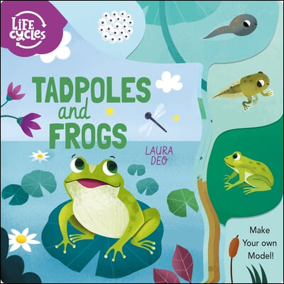 Life Cycles: Tadpoles and Frogs: Make Your Own Model!