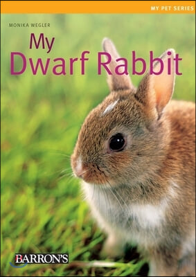 My Dwarf Rabbit