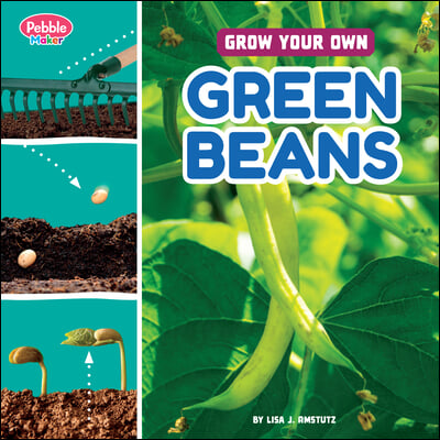 Grow Your Own Green Beans