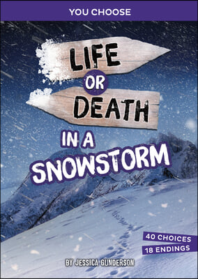 Life or Death in a Snowstorm: An Interactive Survival Adventure