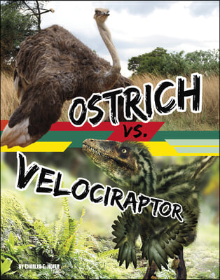 Ostrich vs. Velociraptor