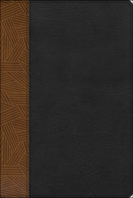 Rvr 1960 Biblia de Estudio Arcoiris, Tostado/Negro Simil Piel Con Indice