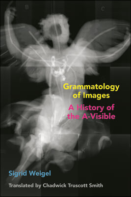 Grammatology of Images: A History of the A-Visible