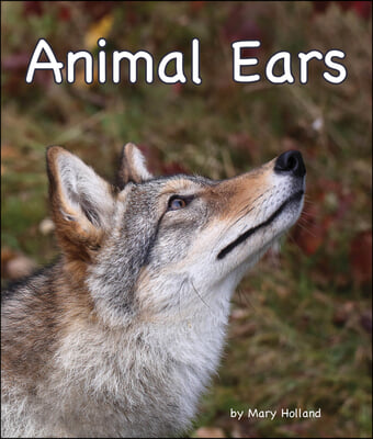 Animal Ears