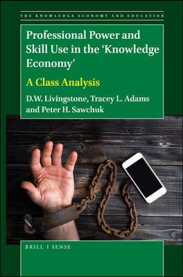 Professional Power and Skill Use in the &#39;Knowledge Economy&#39;: A Class Analysis