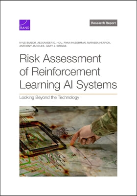 Risk Assessment of Reinforcement Learning AI Systems: Looking Beyond the Technology