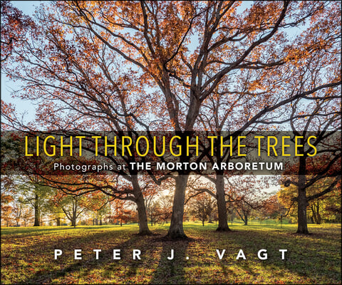 Light Through the Trees: Photographs at the Morton Arboretum