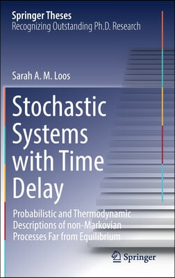 Stochastic Systems with Time Delay: Probabilistic and Thermodynamic Descriptions of Non-Markovian Processes Far from Equilibrium