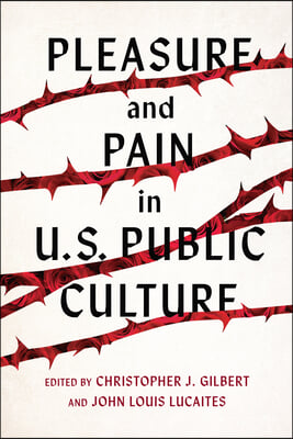 Pleasure and Pain in Us Public Culture