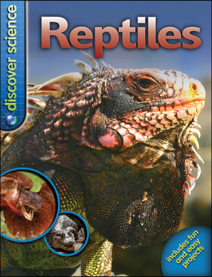 Reptiles