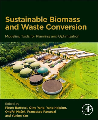 Modeling Tools for Planning Sustainable Biomass and Waste Conversion Into Energy and Chemicals: Optimization of Technical, Economic, Environmental and
