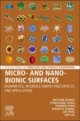 Micro- And Nano-Bionic Surfaces: Biomimetics, Interface Energy Field Effects, and Applications