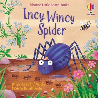 Incy Wincy Spider