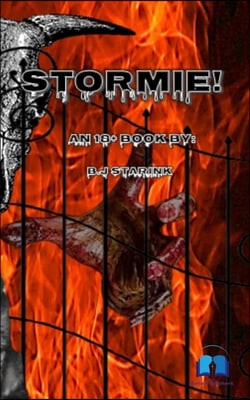 Stormie!: An 18+ book