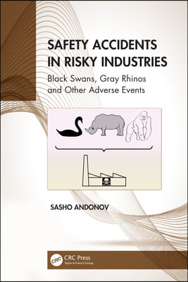 Safety Accidents in Risky Industries